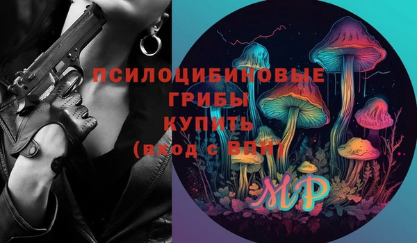 гидра Лагань