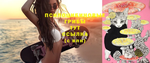 винт Ладушкин