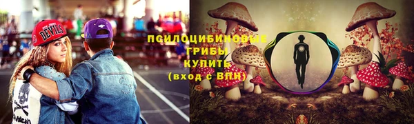 мдпв Липки