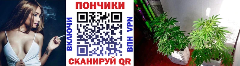Канабис VHQ  купить наркотики цена  Называевск 